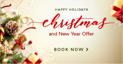 Christmas & New Year Special Offer-post-2025